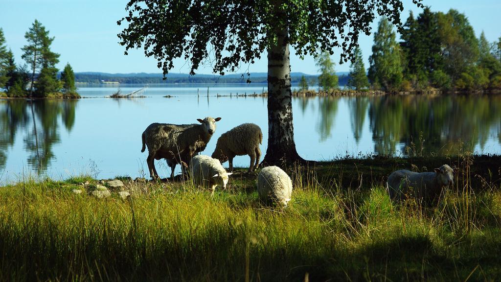 Lits Camping, Stugby Och Kanot Extérieur photo